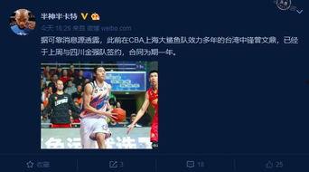 8月赛季最新爆料群组,揭秘新赛季精彩看点与神秘阵容